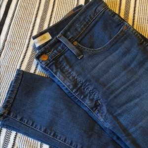 Madewell 10” High-Rise Skinny Jean